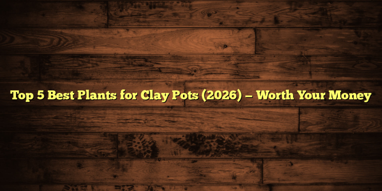 Top 5 Best Plants for Clay Pots (2026) — Worth Your Money