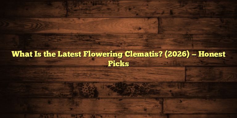 What Is the Latest Flowering Clematis? (2026) — Honest Picks