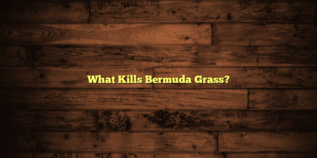 What Kills Bermuda Grass?