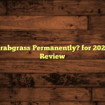 What Kills Crabgrass Permanently? for 2026: Hands-On Review