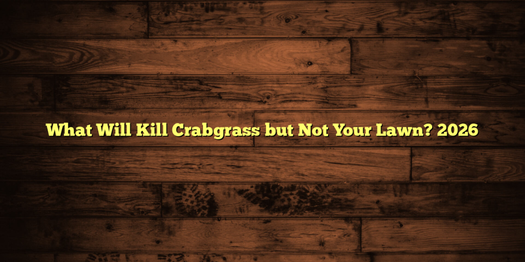 What Will Kill Crabgrass but Not Your Lawn? 2026
