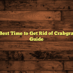 When’s the Best Time to Get Rid of Crabgrass?: Buyer’s Guide