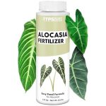 Alocasia Fertilizer Liquid Plant Food Bigger