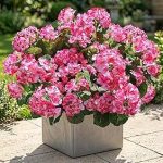 Artificial Geranium Fake Flowers Outdoors Decoration
