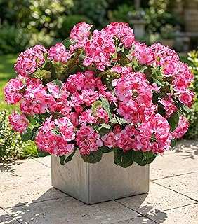 Artificial Geranium Fake Flowers Outdoors Decoration