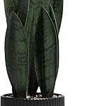 Artificial Plants Sansevieria Snake Plant Black
