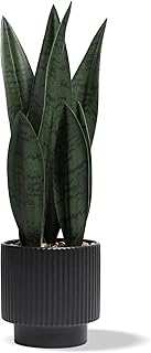 Artificial Plants Sansevieria Snake Plant Black