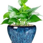 Ceramic Modern Glaze Succulent Planter Pot