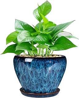 Ceramic Modern Glaze Succulent Planter Pot