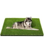 CooZero Artificial Grass 47.3"x31.5" Professional Dog