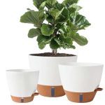 Fielda 8/10/12 Inch Self Watering Pots