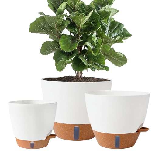 Fielda 8/10/12 Inch Self Watering Pots