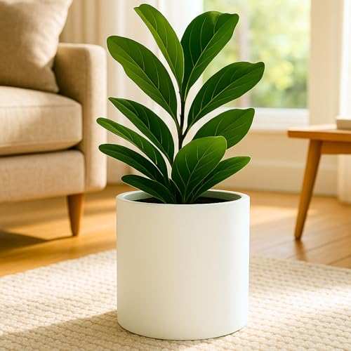 Fox & Fern Plant Pot