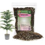 GARDENERA Premium Araucaria Potting Soil Mix