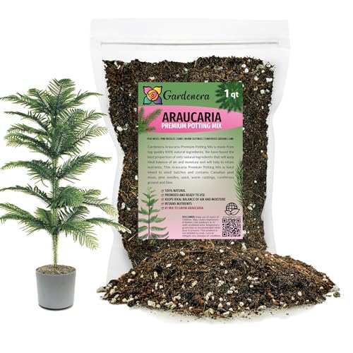 GARDENERA Premium Araucaria Potting Soil Mix