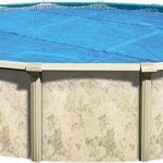In Swim 24' Standard Blue Round