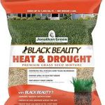 Jonathan Green (10514) Black Beauty Heat