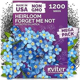 KVITER 1200 Forget Me Not (Myosotis
