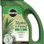 Miracle-Gro Shake 'N Feed Palm Plant