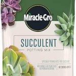 Miracle-Gro Succulent Potting Mix