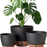 montresor 12/10/8 Inch Self Watering Pots