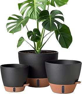 montresor 12/10/8 Inch Self Watering Pots