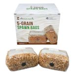 Myco Labs Premium 5-Grain Mushroom Spawn