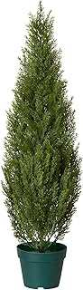 National Tree Company 36 Inch Artificial