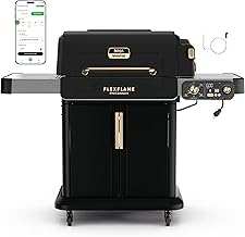 Ninja FlexFlame ProConnect Grill & Smoker