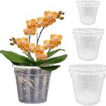 Orchid Pot 2 Each 4.3" 5.5"