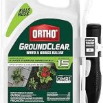 Ortho GroundClear Weed & Grass Killer