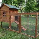 Outdoor Chicken Coop 2-4 Chickens Wooden