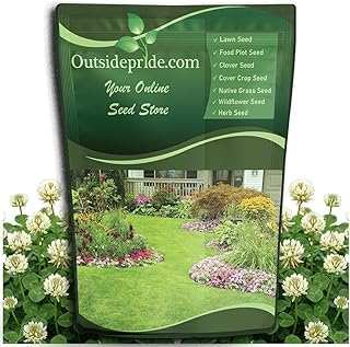 Outsidepride Perennial White Dutch Clover Seed
