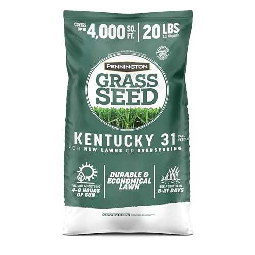 Pennington Kentucky 31 Tall Fescue Grass