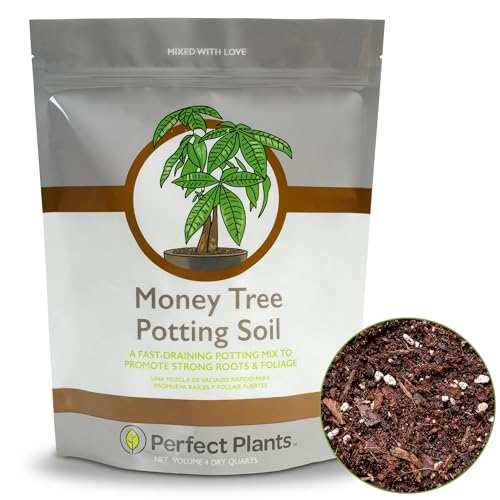 Perfect Plants Money Tree Potting Soil