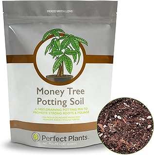 Perfect Plants Money Tree Potting Soil