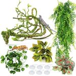 PietyPet Reptile Plants Terrarium Hanging Plant