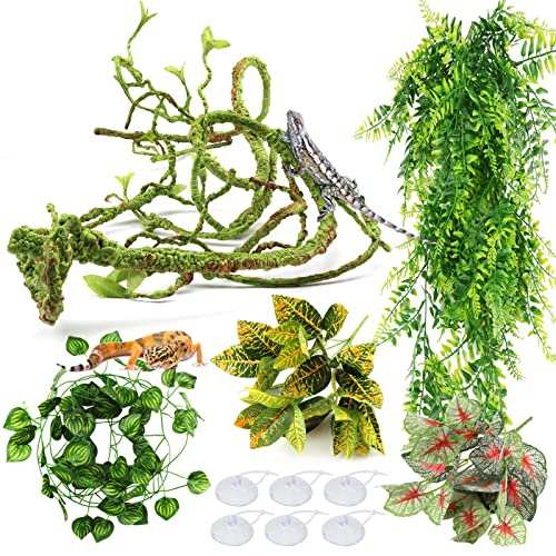 PietyPet Reptile Plants Terrarium Hanging Plant