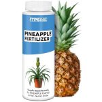 Pineapple Fertilizer Liquid Plant Food Bigger