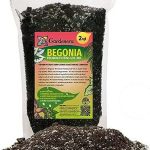 Premium Begonia Plant Potting Soil Gardenera