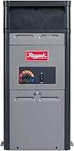 Raypak PR106AENC 105 000 BTU Natural