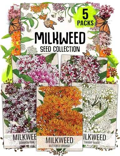Seed Needs Milkweed Seeds Planting Butterfly