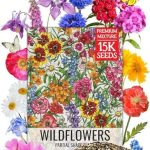 Seed Needs Partial Shade Wildflower Mix
