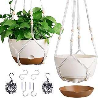 Set 2-10 Inch Hanging Planters Indoor