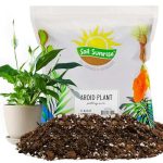 Soil Sunrise Aroid Plant Potting Mix