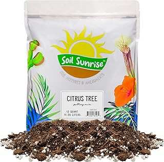 Soil Sunrise Citrus Tree Potting Mix