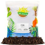 Soil Sunrise Fern Plant Potting Mix