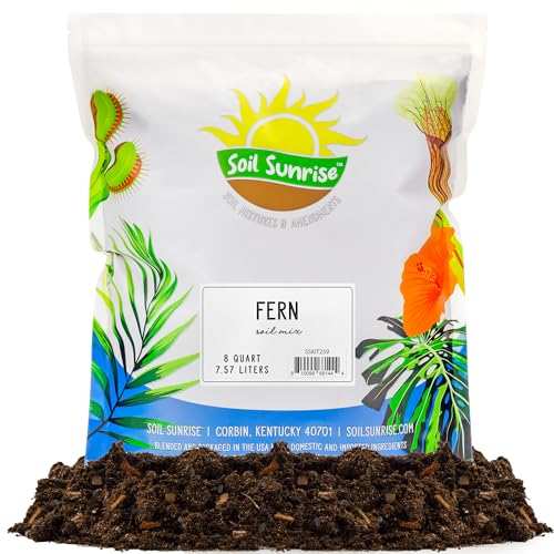 Soil Sunrise Fern Plant Potting Mix