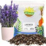 Soil Sunrise Lavender Potting Mix (8