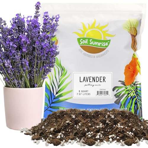 Soil Sunrise Lavender Potting Mix (8